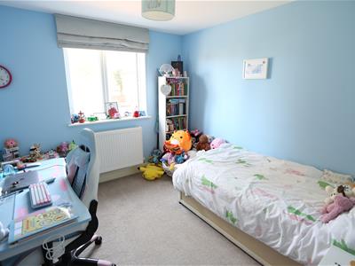 Picture 16